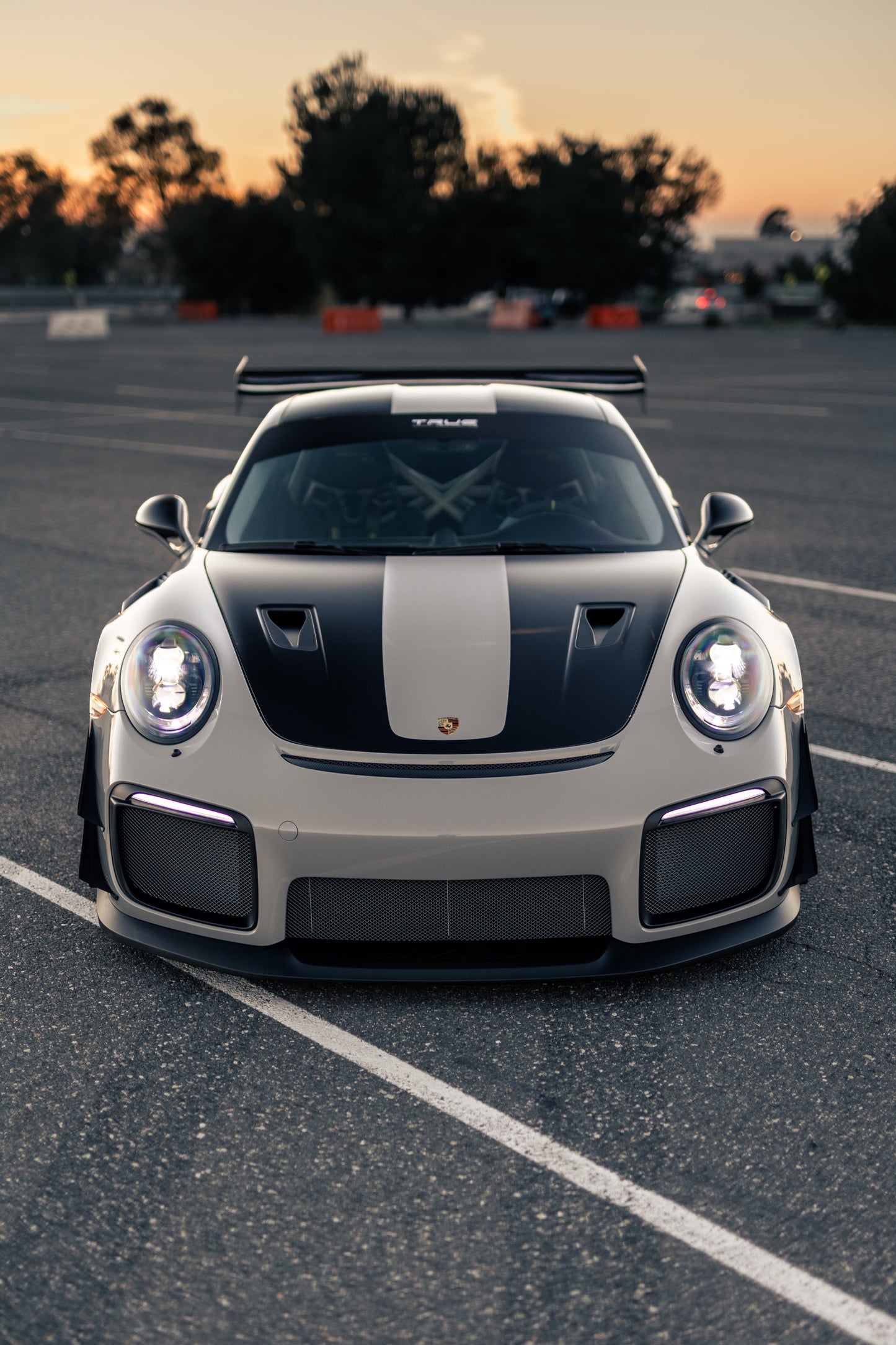 True Performance 991 GT2RS (Dual Element)